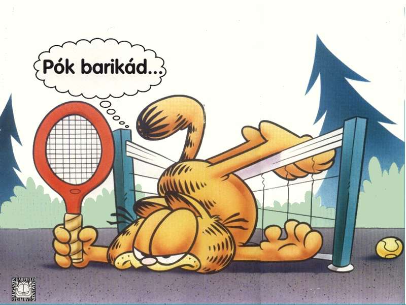 Garfield 24 háttérképek