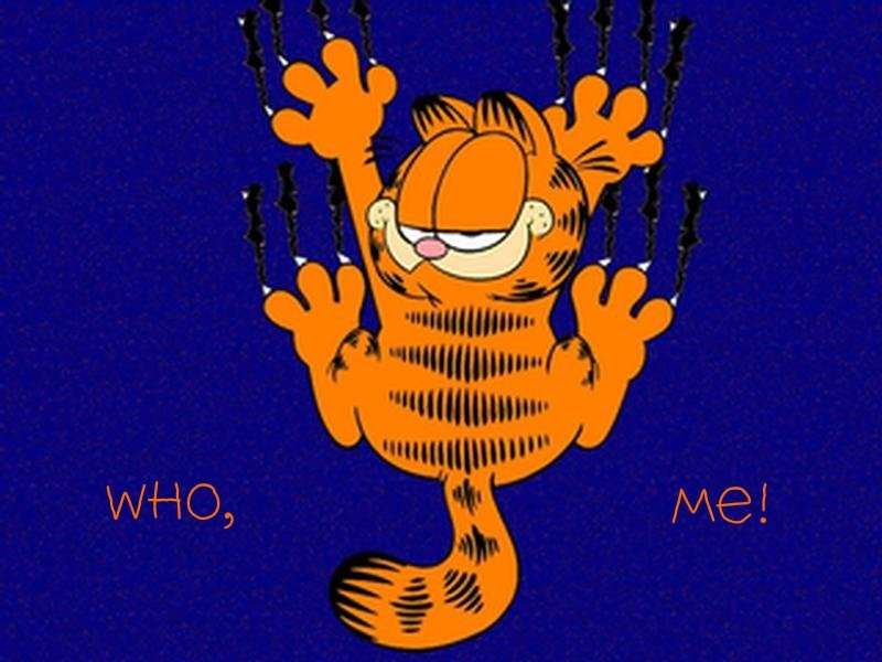 Garfield 34 háttérképek